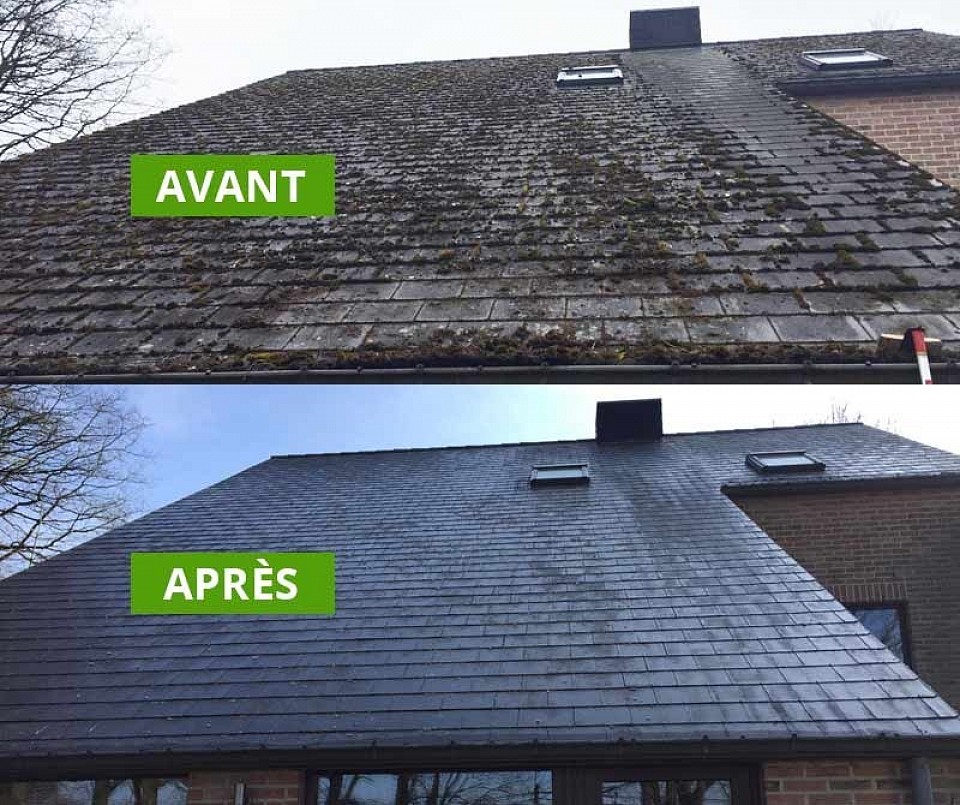 Demoussage + traitement dalep 2100