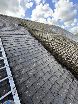Des Moussages de toiture avec l’application d’un anti mousse